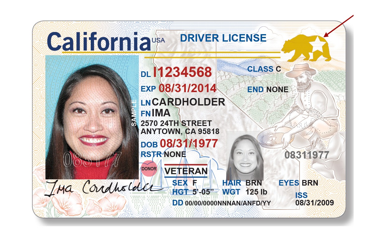 California Driver License example
